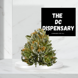 The DC Dispensary