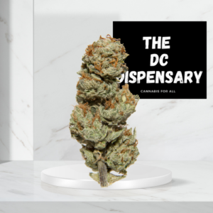 Gelonade cannabis flower premium hybrid strain dense frosty buds lemon citrus terpene profile Washington DC dispensary